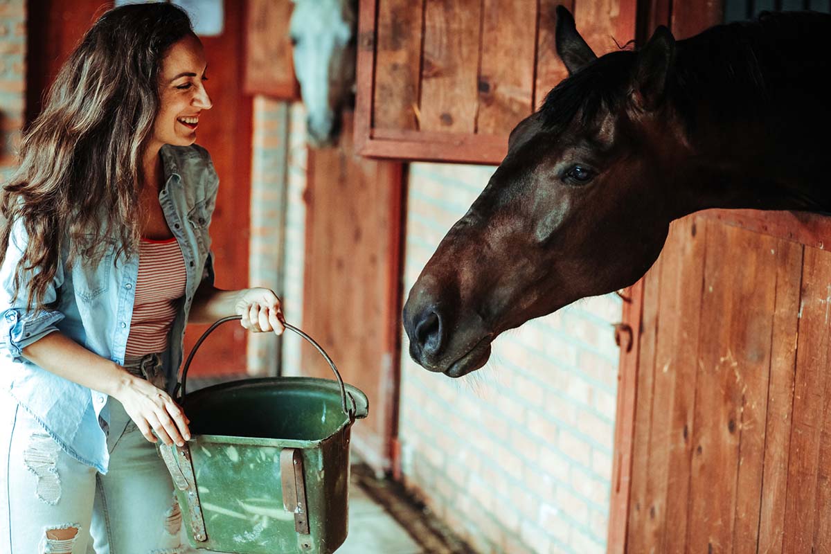 A woman feeds her horse from a bucket