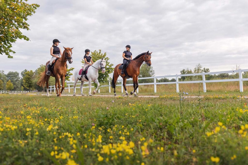 Three women ride their horses in english tack down a trail