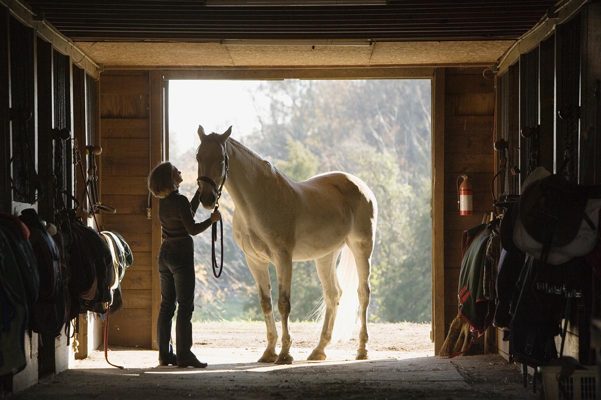 A woman pets a gray horse in a barn aisle