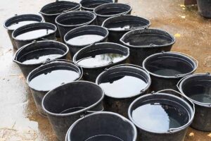 Buckets of water for horses