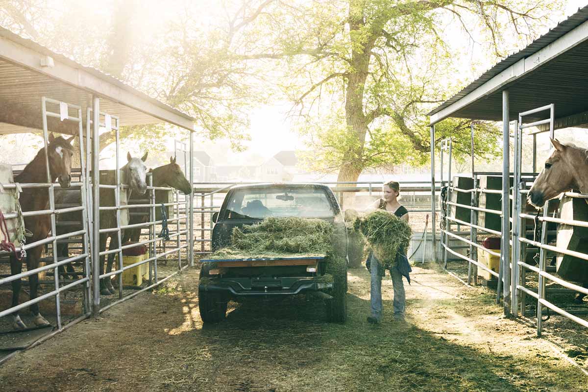 A woman delivers a truckload of hay for her horses