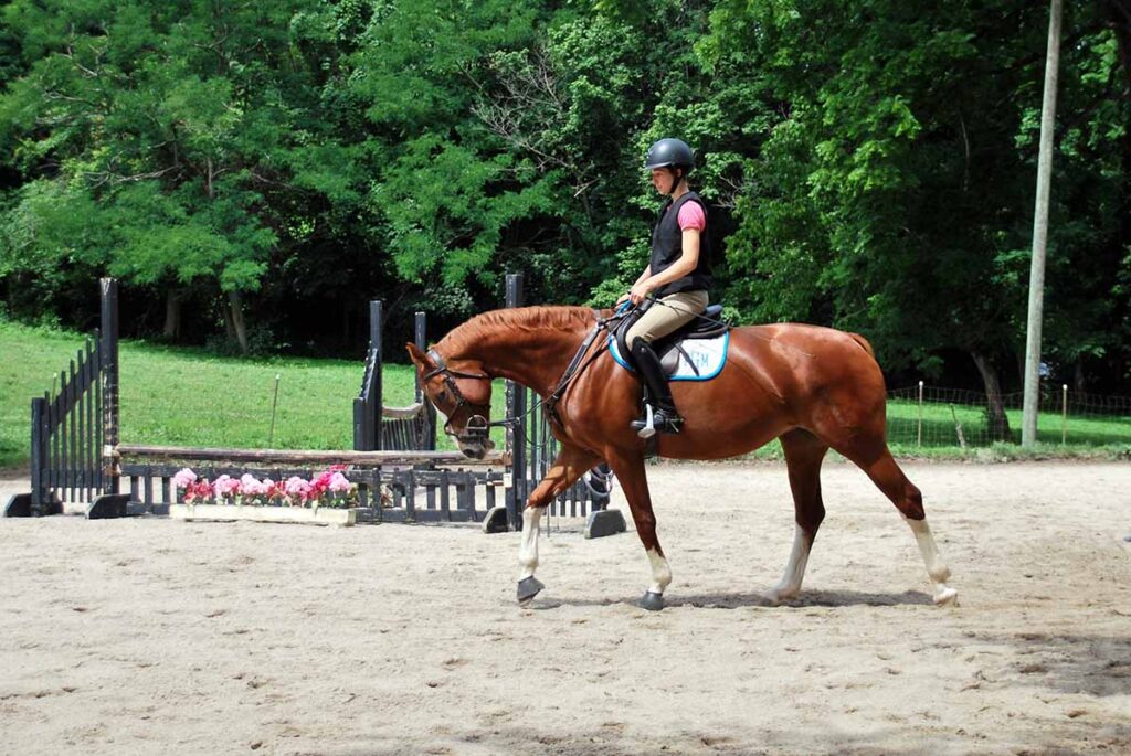 a young woman rides her chestnut mare in an arena