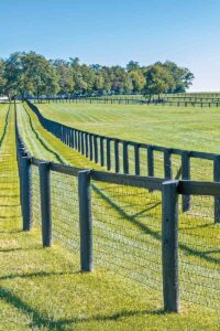 A horse pasture lined with wire mesh and wood board fencing
