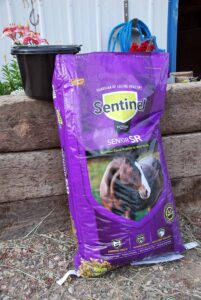 Sentinel senior horse feed