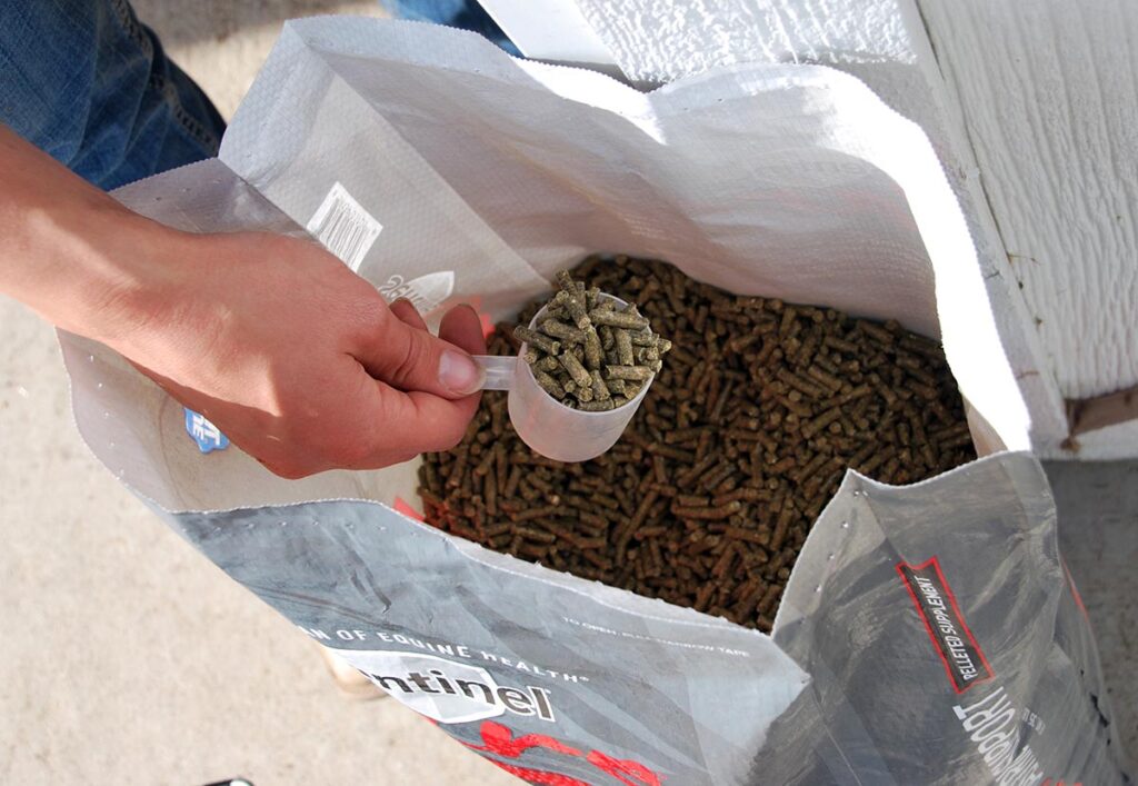 a hand scooping an equine feed supplement out of a bag