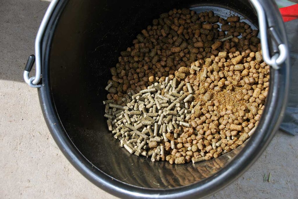 Close-up of a pelleted equine feed supplement in a bucket of feed.
