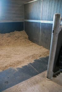 A clean horse stall with fresh shavings and stall mats