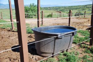 A full trough of clean water in a horse's paddock