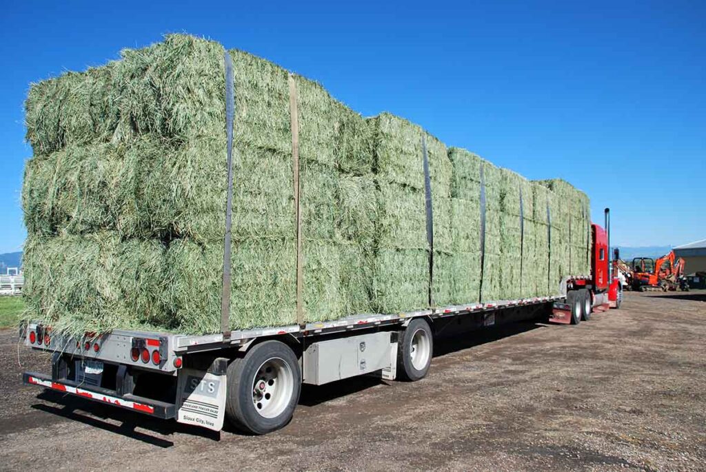 A truck delivering horse hay in bulk