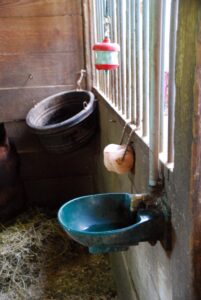 An automatic waterer, salt block, and feed bucket in a horse's stall