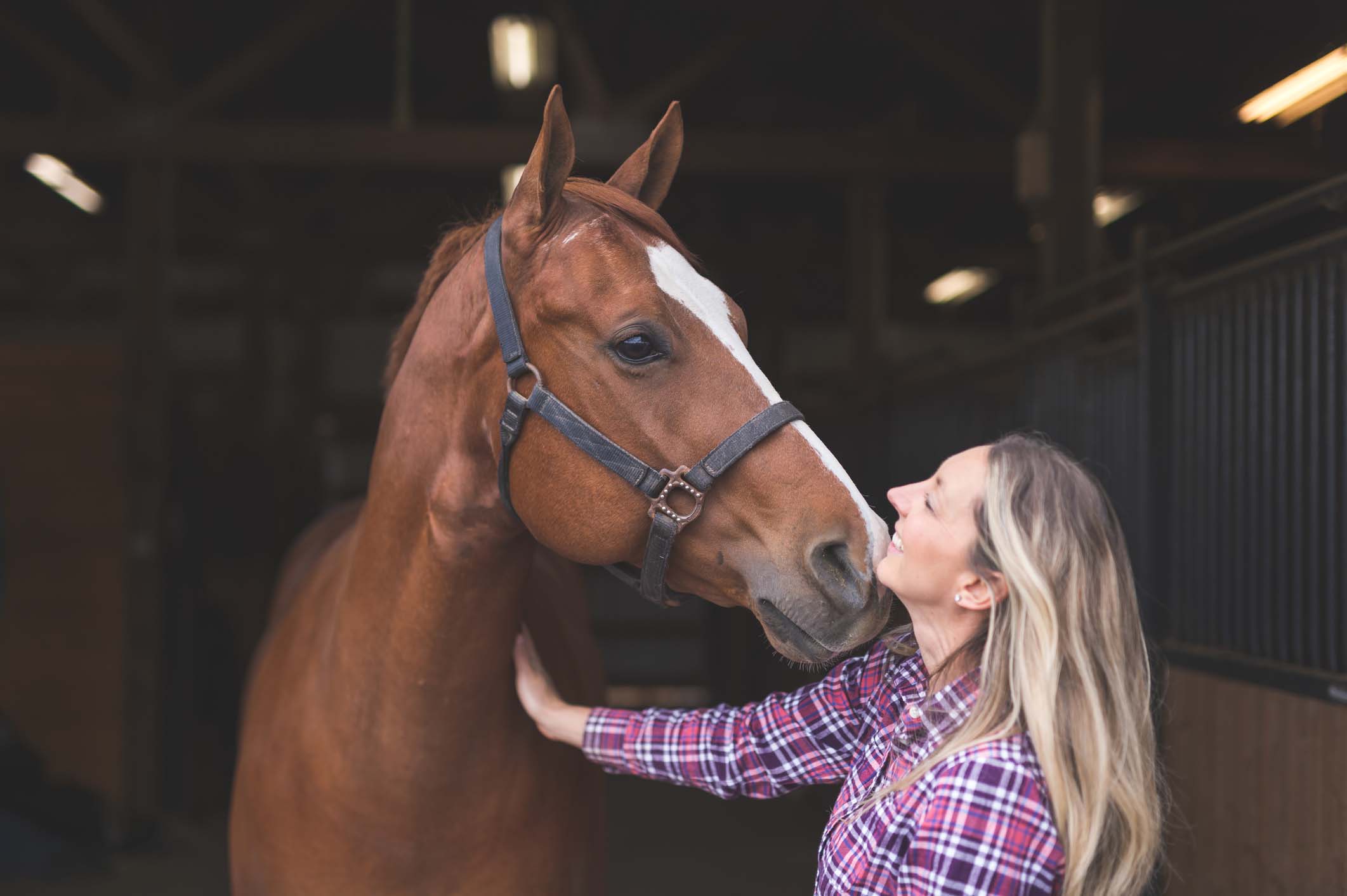 Young woman bonds with her new horse