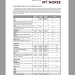 thumbnail of costs worksheet