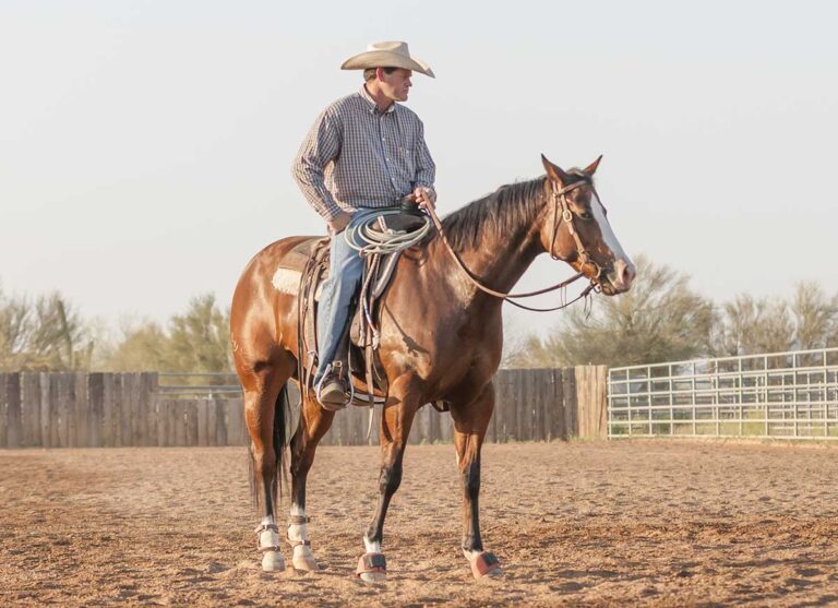 A man in western tack and attire rides a bay quarter horse wearing a type of leg protection for horses