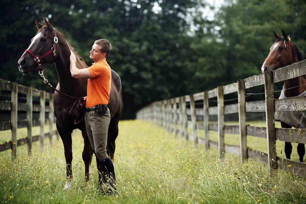 A man pets a nervous horse to calm it down