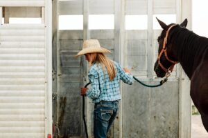 a woman leads a bay horse into a horse trailer