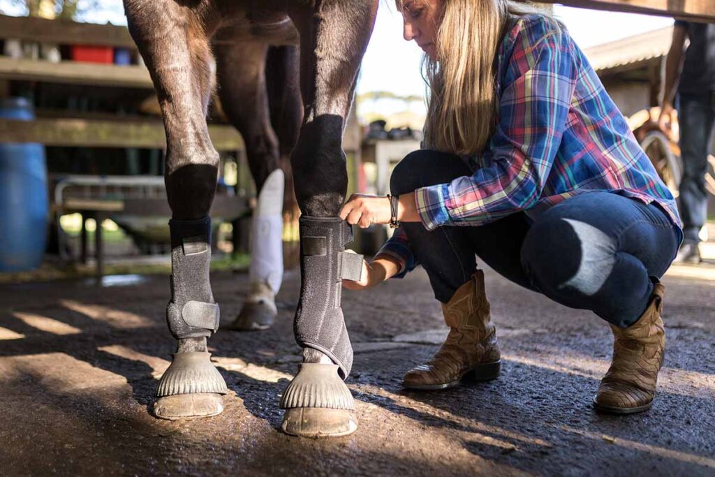 A young woman applying boots to a horse's legs