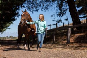 a young woman leads a nervous bay horse down a path
