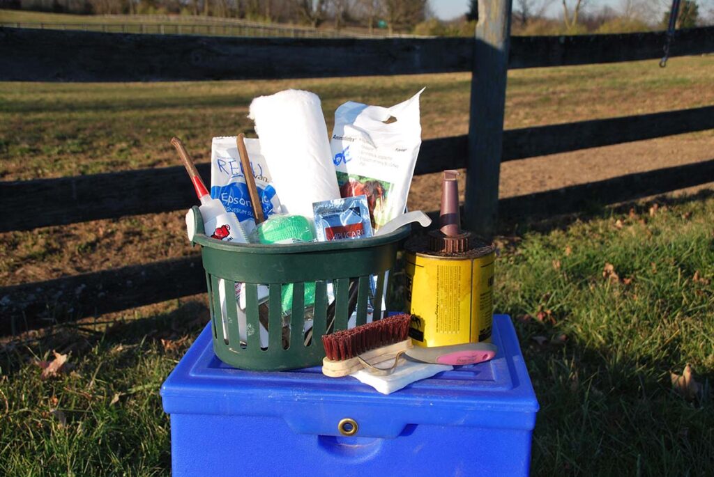 a bucket of horse hoof care supplies