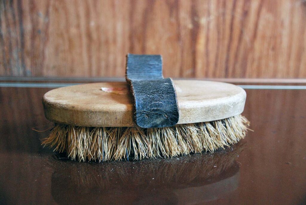 A hard dandy brush for a horse on a tack trunk