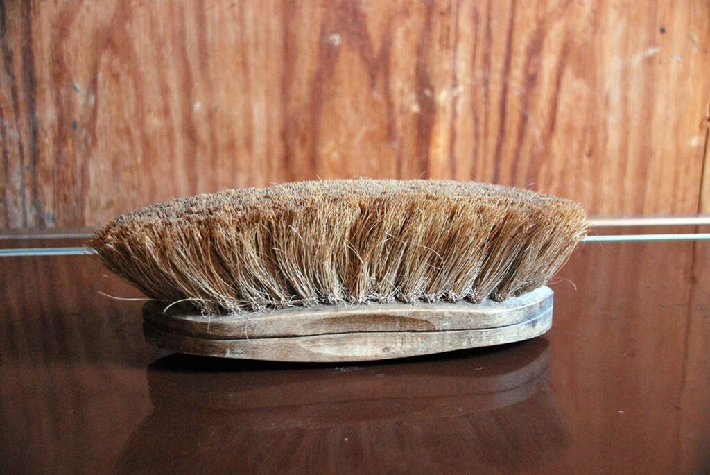 A horse's body brush sitting on a tack trunk