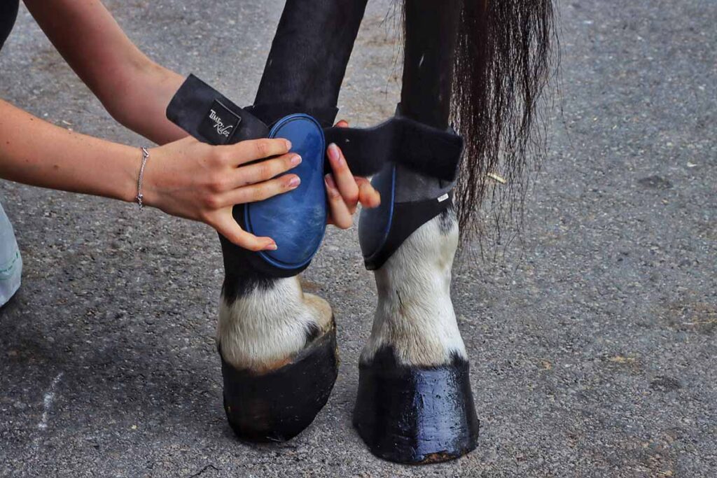 ankle boots on a horse