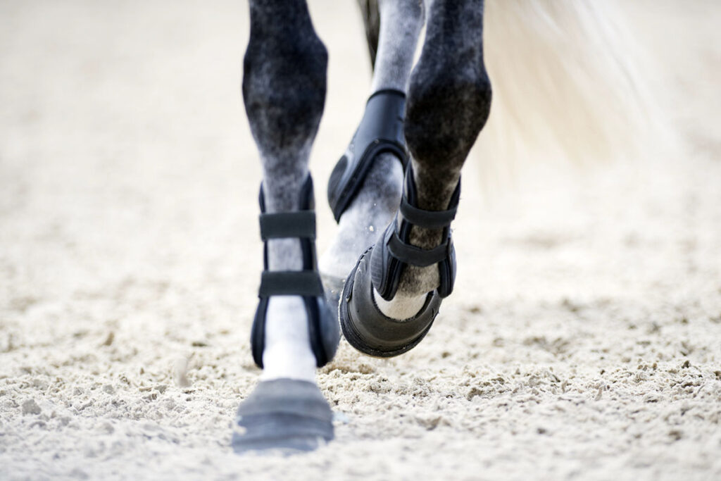 Open-front boots on a horse