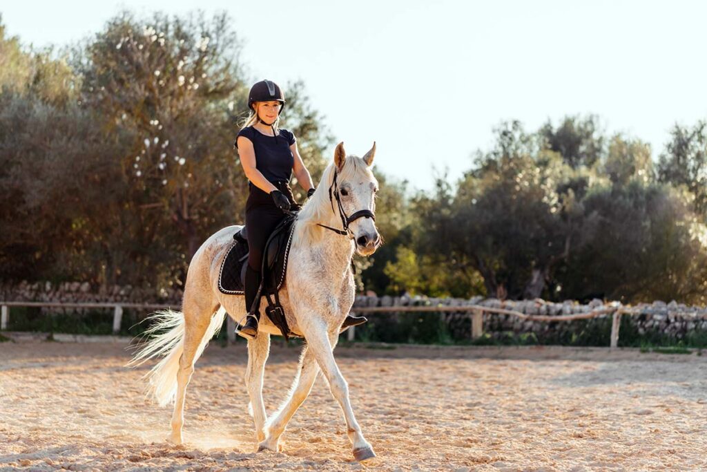 A woman rides a gray horse dressage at a trot on a sunny day