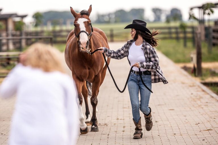 a woman jogs her bay horse down a lane as a veterinarian assesses its soundness