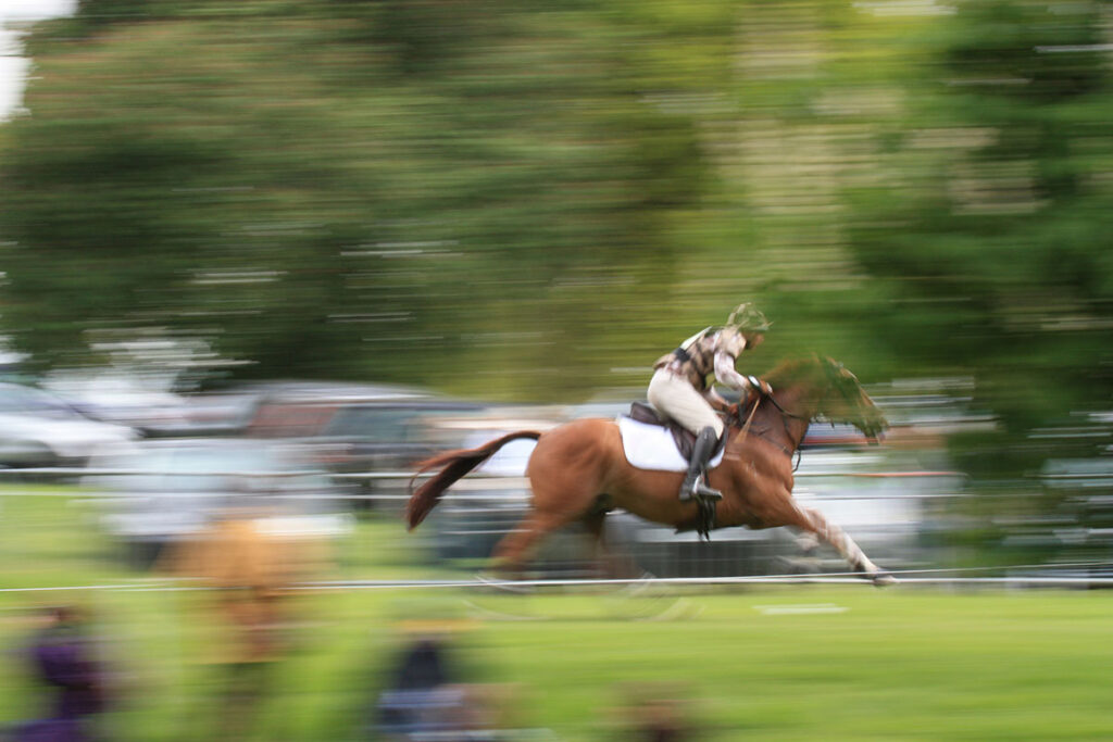 an event horse galloping cross country