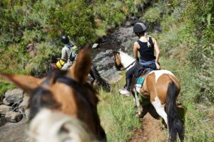 Riders on paint horses going on a trail ride downhill