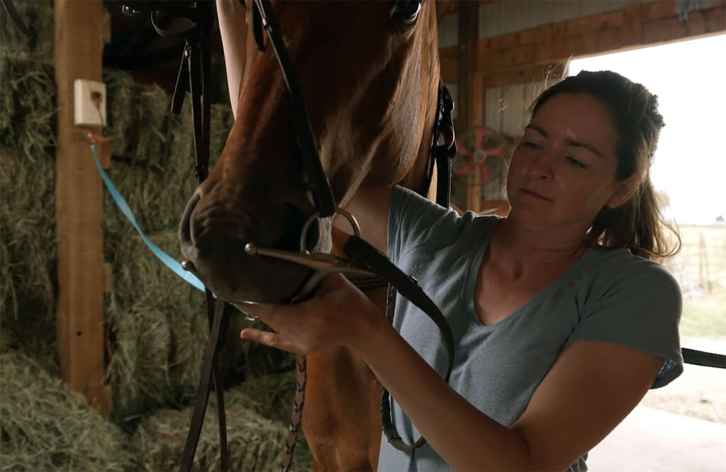 A rider slides the bit into the mouth of a horse while bridling.