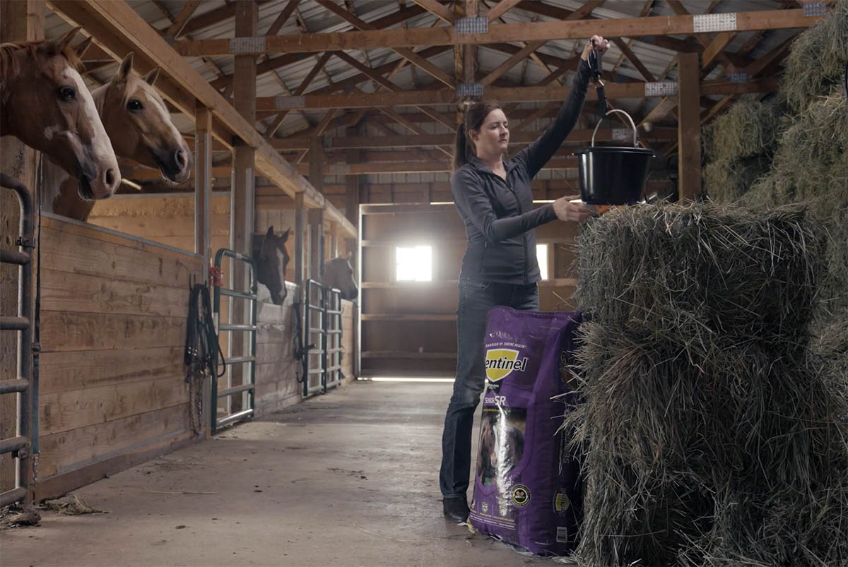 a horse owner weighs her horse's feed and hay rations