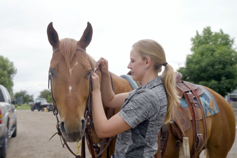 a woman puts a western bridle on a chestnut horse