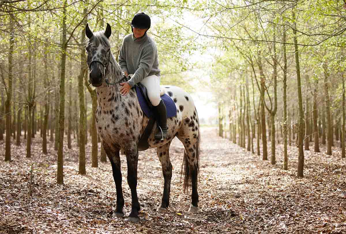 a woman riding an appaloosa horse on the trail