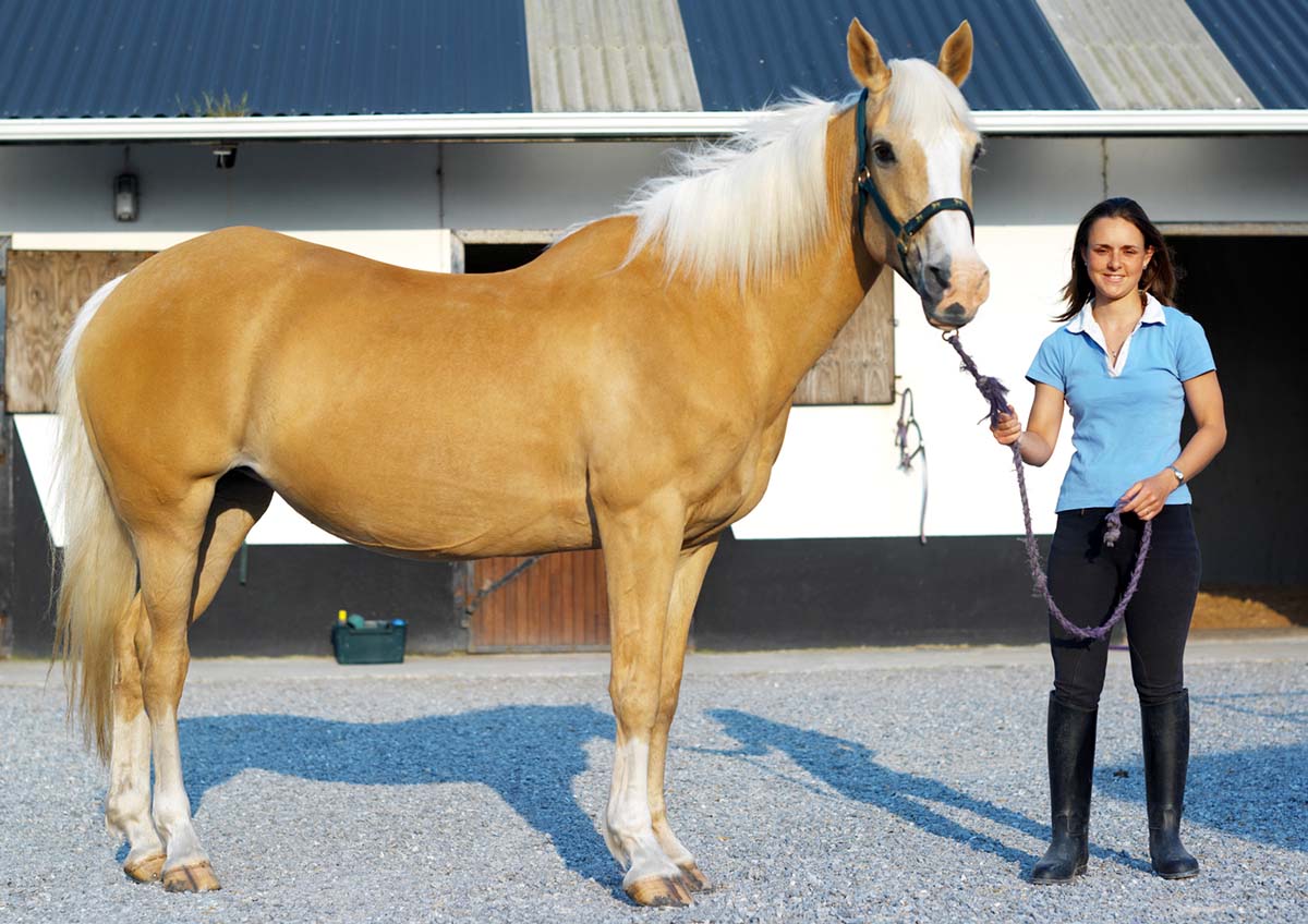 a young woman stands next to her palomino horse