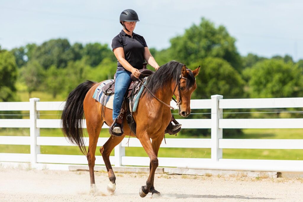 a woman in a black shirt rides an arabian horse western at the jog