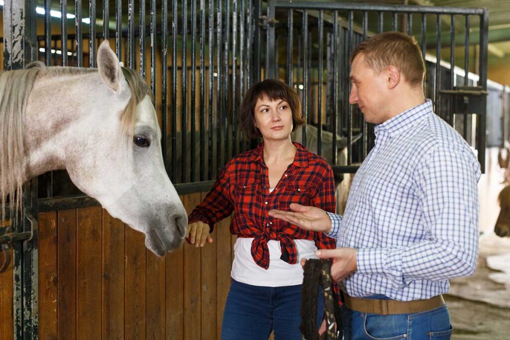 a man and woman discuss a horse in the barn aisle next to a gray arabian horse