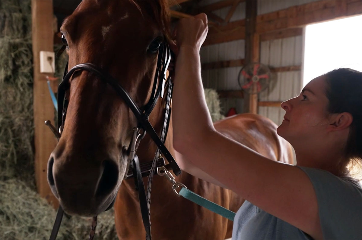 close-up of a woman putting an english bridle on a chestnut horse's head in a barn aisle