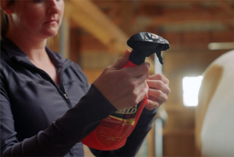 a woman reads the instructions for fly spray application on the back of the bottle's label before applying it to her horse