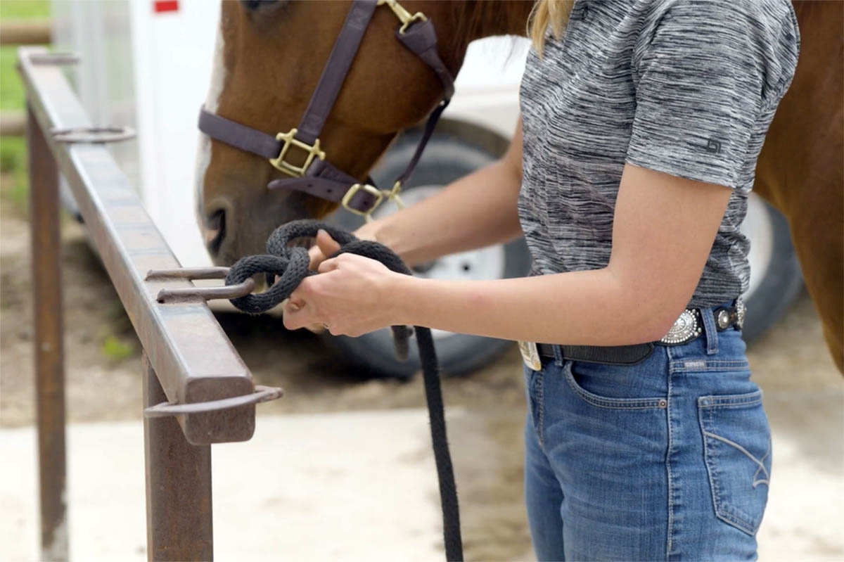 close-up of a woman tying her chestnut horse to a post using a quick-release knot