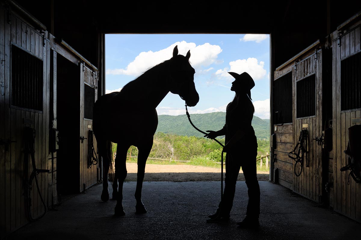 A woman in a cowboy hat leading a horse and silhouetted in a barn aisle