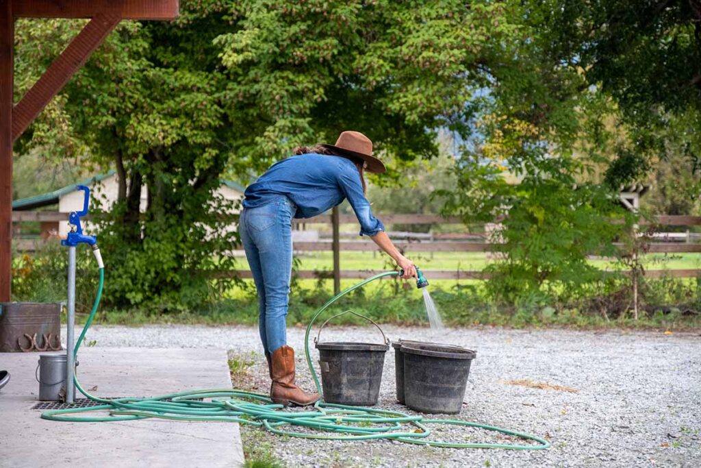 a woman cleans and fills three water buckets for her horses from an outdoor water spigot