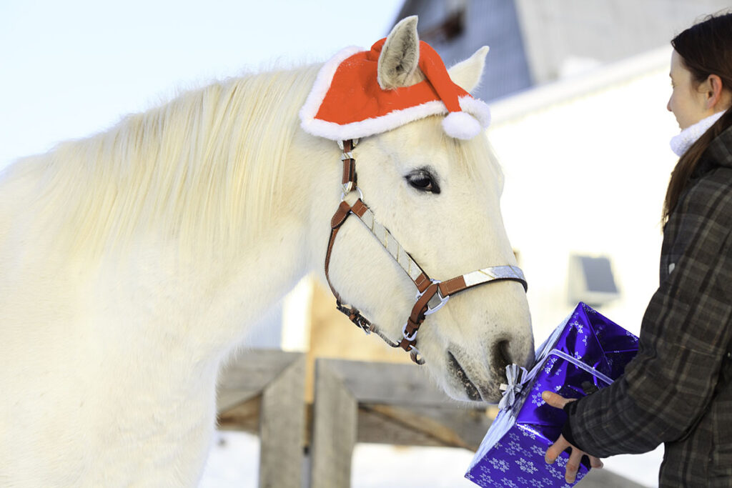 A young woman presents a gift box wrapped in blue wrapping paper to her white horse who's wearing a santa cap