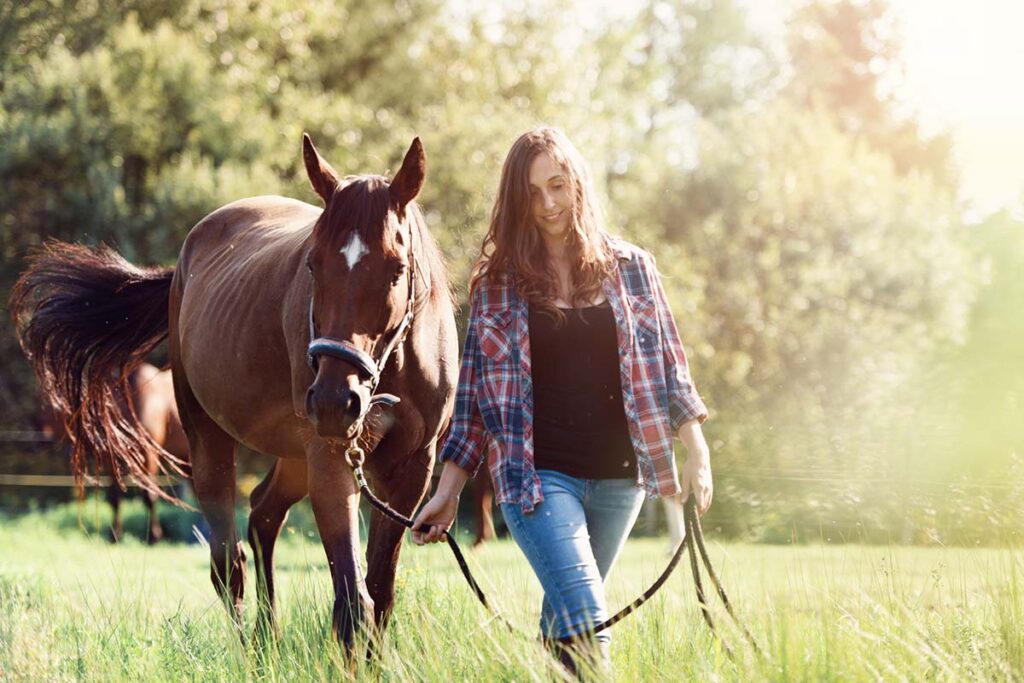 A young woman leads a bay horse in a field of green grass