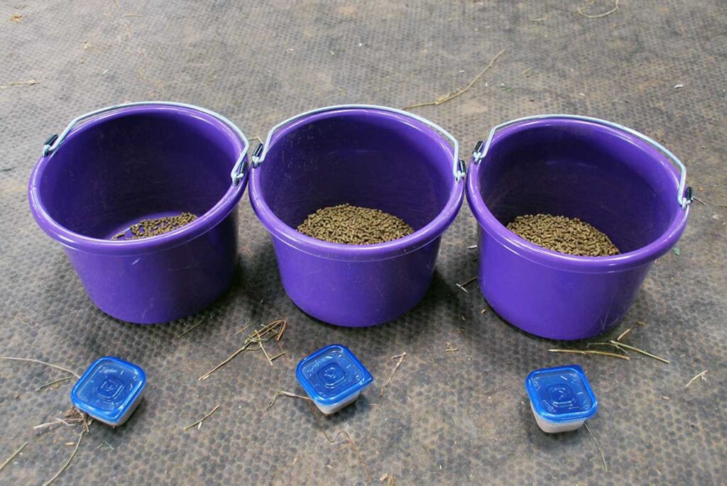 three purple buckets of horse feed with prepackaged tuperwares of supplements by each