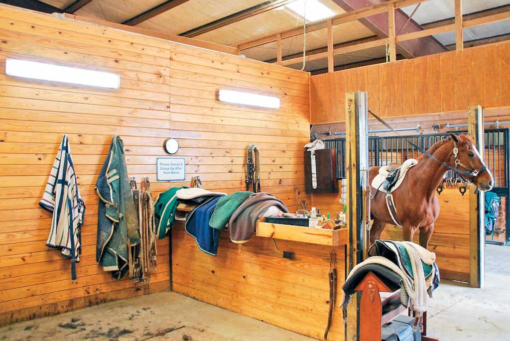 A clean and well-lit grooming stall with a chestnut horse being tacked up in it