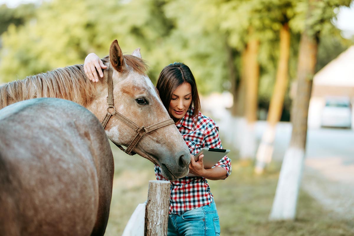 A woman pets her roan horse over the fenceline while looking at something on the tablet in her hand