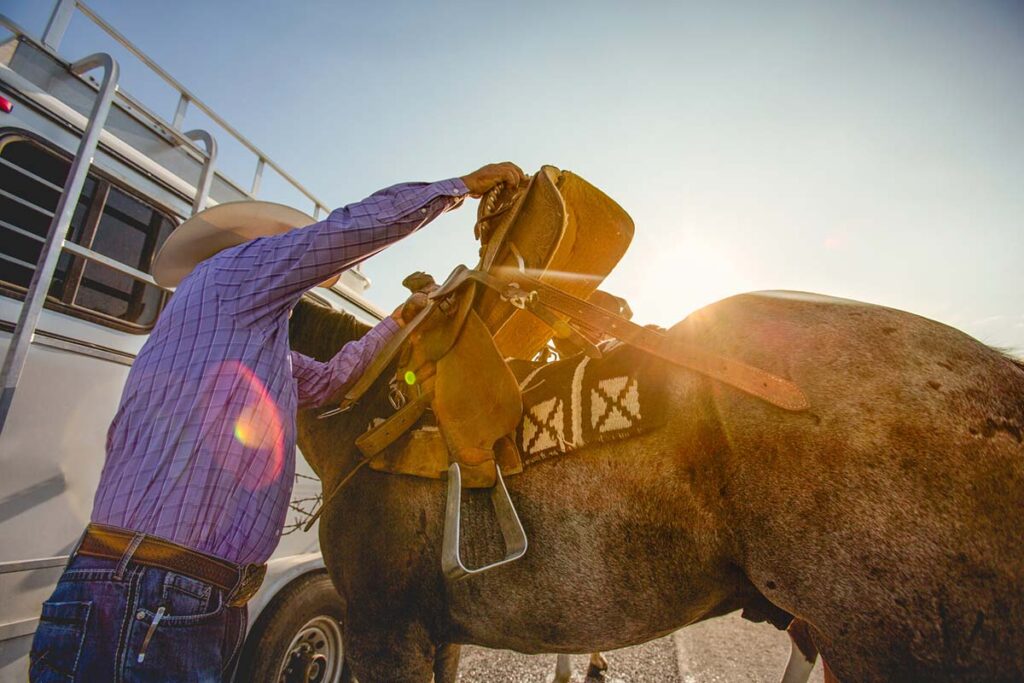 A cowboy swings a western saddle up onto a roan horse's back at dusk.