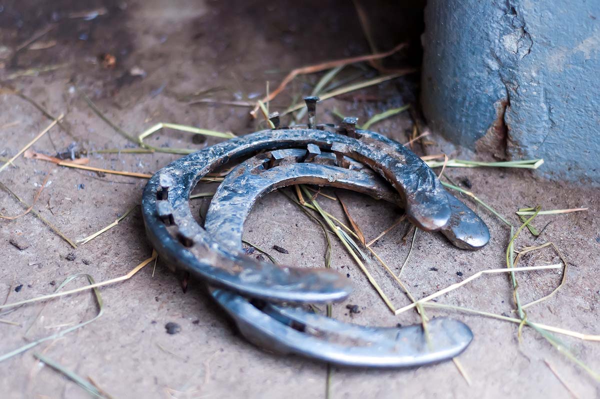Two steel horseshoes lay on top of each other in a barn aisle