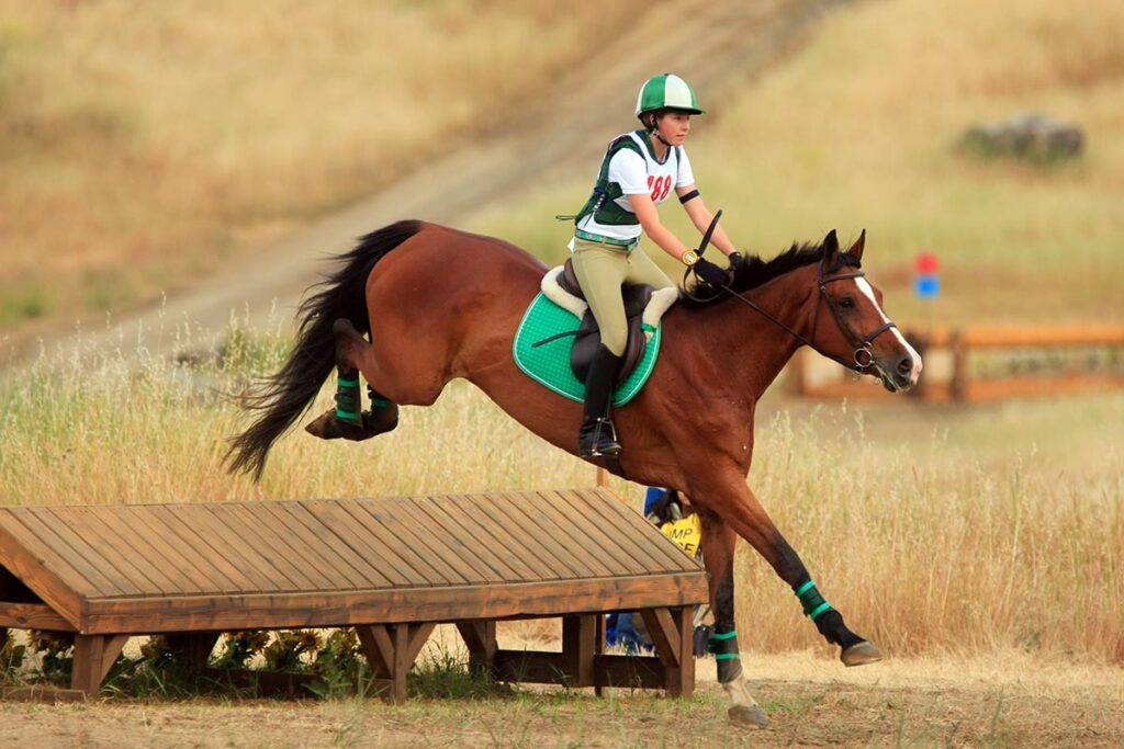 a young woman rides a bay horse over a fence on a cross-country course